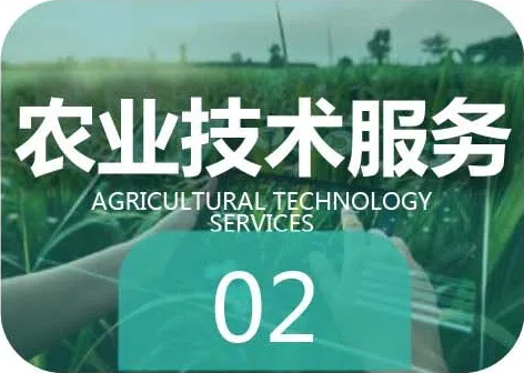 农业技术服务